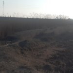 Satılır Torpaq Salyan 3