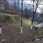 Продажа Участок Гябяля 5