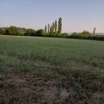 Satılır Torpaq Şəki 1