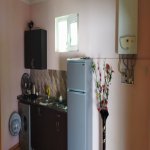 Kirayə (günlük) 3 otaqlı Həyət evi/villa Qəbələ 4