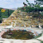 Kirayə (günlük) 4 otaqlı Həyət evi/villa Şamaxı 6