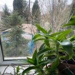 Satılır 5 otaqlı Həyət evi/villa, Suraxanı rayonu 5