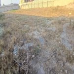 Продажа Участок, Шювалан, Хязяр район 5