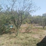 Satılır Torpaq, Azadlıq metrosu, Binəqədi qəs., Binəqədi rayonu 3