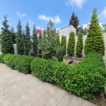 Kirayə (aylıq) 4 otaqlı Bağ evi, Mərdəkan, Xəzər rayonu 10