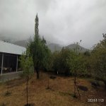 Kirayə (günlük) 3 otaqlı Həyət evi/villa Qəbələ 41