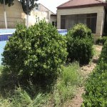 Satılır 4 otaqlı Bağ evi, Mərdəkan, Xəzər rayonu 9