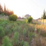 Satılır Torpaq, Novxanı, Abşeron rayonu 8