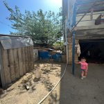 Satılır 6 otaqlı Həyət evi/villa, Binə qəs., Xəzər rayonu 14