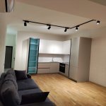 Kirayə (aylıq) 3 otaqlı Yeni Tikili, 28 May metrosu, Port Baku, Səbail rayonu 3