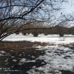 Satılır 2 otaqlı Bağ evi Qəbələ 4