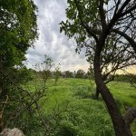 Satılır 3 otaqlı Həyət evi/villa İsmayıllı 13