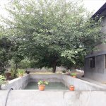 Kirayə (günlük) 4 otaqlı Həyət evi/villa Şəki 3