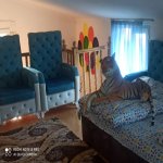 Kirayə (günlük) 3 otaqlı Həyət evi/villa Qax 19