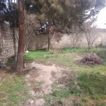 Satılır 6 otaqlı Bağ evi, Mərdəkan, Xəzər rayonu 8