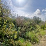 Satılır Torpaq, Maştağa qəs., Sabunçu rayonu 7