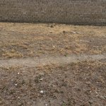 Satılır Torpaq, Qobu, Abşeron rayonu 3