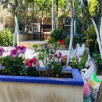 Kirayə (aylıq) 6 otaqlı Bağ evi, Pirşağı qəs., Sabunçu rayonu 10