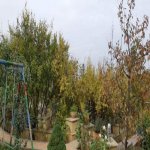 Satılır 6 otaqlı Həyət evi/villa, Bakıxanov qəs., Sabunçu rayonu 5