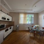 Kirayə (aylıq) 2 otaqlı Köhnə Tikili, Nizami metrosu, Yasamal rayonu 11