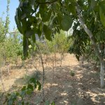 Satılır 4 otaqlı Bağ evi Sumqayıt 10