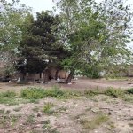 Satılır Torpaq, Sabunçu qəs., Sabunçu rayonu 4