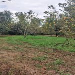 Satılır 4 otaqlı Həyət evi/villa Xaçmaz 16