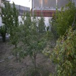 Kirayə (günlük) 8 otaqlı Həyət evi/villa, Elmlər akademiyası metrosu, Badamdar qəs., Səbail rayonu 6