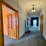 Kirayə (aylıq) 16 otaqlı Ofis, Gənclik metrosu, Odlar Yurdu Universiteti, Nərimanov rayonu 13