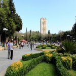 Kirayə (aylıq) 2 otaqlı Köhnə Tikili, Nəriman Nərimanov metrosu, Nərimanov rayonu 1