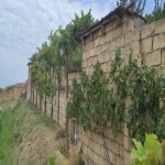 Продажа Участок, Новханы, Абшерон район 8
