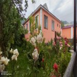 Kirayə (günlük) 3 otaqlı Həyət evi/villa Qəbələ 2