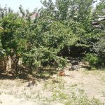 Продажа 3 комнат Дома/Виллы, Хокмяли, Абшерон район 15