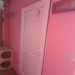 Аренда 1 комнатная Дома/Виллы, м. 8 Ноябрь метро, Папанин, Насими район 5
