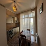 Kirayə (aylıq) 2 otaqlı Yeni Tikili, Nəriman Nərimanov metrosu, Nərimanov rayonu 4