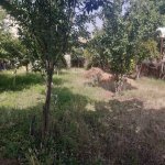Satılır Torpaq Gəncə 3