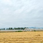 Продажа Объект Хачмаз 13