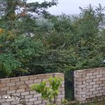 Kirayə (günlük) 3 otaqlı Həyət evi/villa Qusar 20
