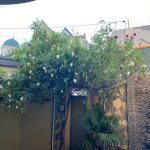 Kirayə (aylıq) 5 otaqlı Həyət evi/villa, Nəsimi metrosu, Nəsimi rayonu 7
