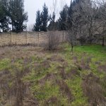 Satılır Torpaq, Novxanı, Abşeron rayonu 1