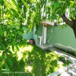 Kirayə (günlük) 3 otaqlı Həyət evi/villa Qəbələ 5