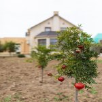 Satılır 5 otaqlı Bağ evi, Bilgəh qəs., Sabunçu rayonu 1