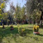 Kirayə (günlük) 3 otaqlı Həyət evi/villa Qəbələ 16