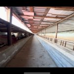 Продажа Объект, Йени Рамана, Сабунчу район 5