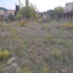 Satılır 7 otaqlı Bağ evi, Novxanı, Abşeron rayonu 10