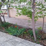 Satılır 4 otaqlı Həyət evi/villa Naxçıvan MR 19