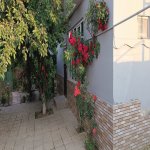 Kirayə (günlük) 3 otaqlı Həyət evi/villa Xaçmaz / Nabran 1