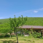 Посуточно 2 комнат Дома/Виллы Гах 1