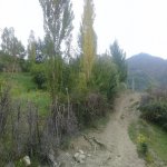 Satılır Torpaq İsmayıllı 10