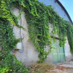 Satılır 9 otaqlı Bağ evi, Buzovna, Xəzər rayonu 1